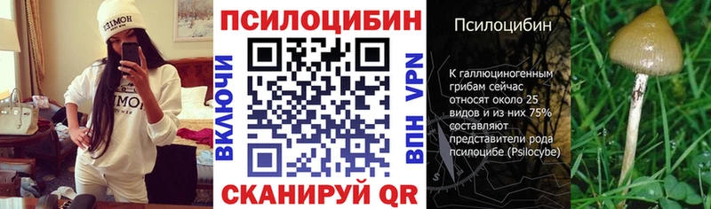 Купить где  Семёнов  Галлюциногенные грибы Cubensis 